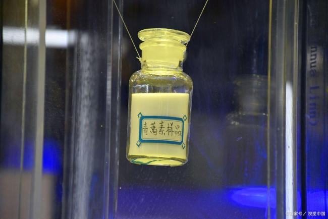 洋小伙的中医偶像是屠呦呦 中医智慧获世界认可