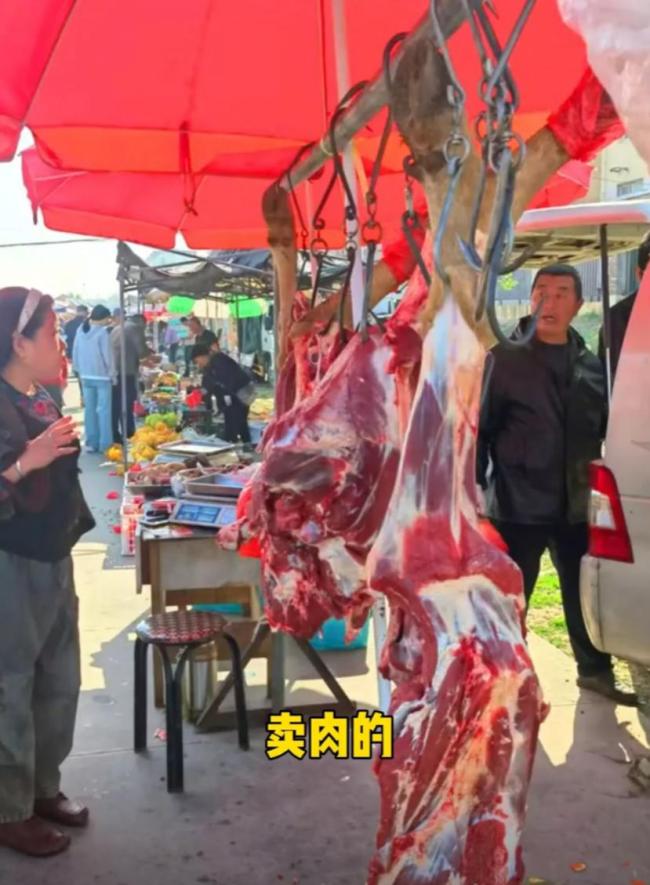 莫言回山东老家赶大集 感受社会进步与发展