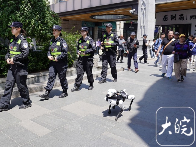 揭秘警犬的五一假期 机器警犬成焦点